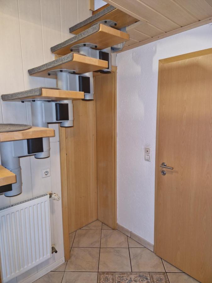 Ferienwohnung Blumenshein Bei Speyer Karlsruhe Familienfreundlich 5 Pers Zeiskam Екстериор снимка