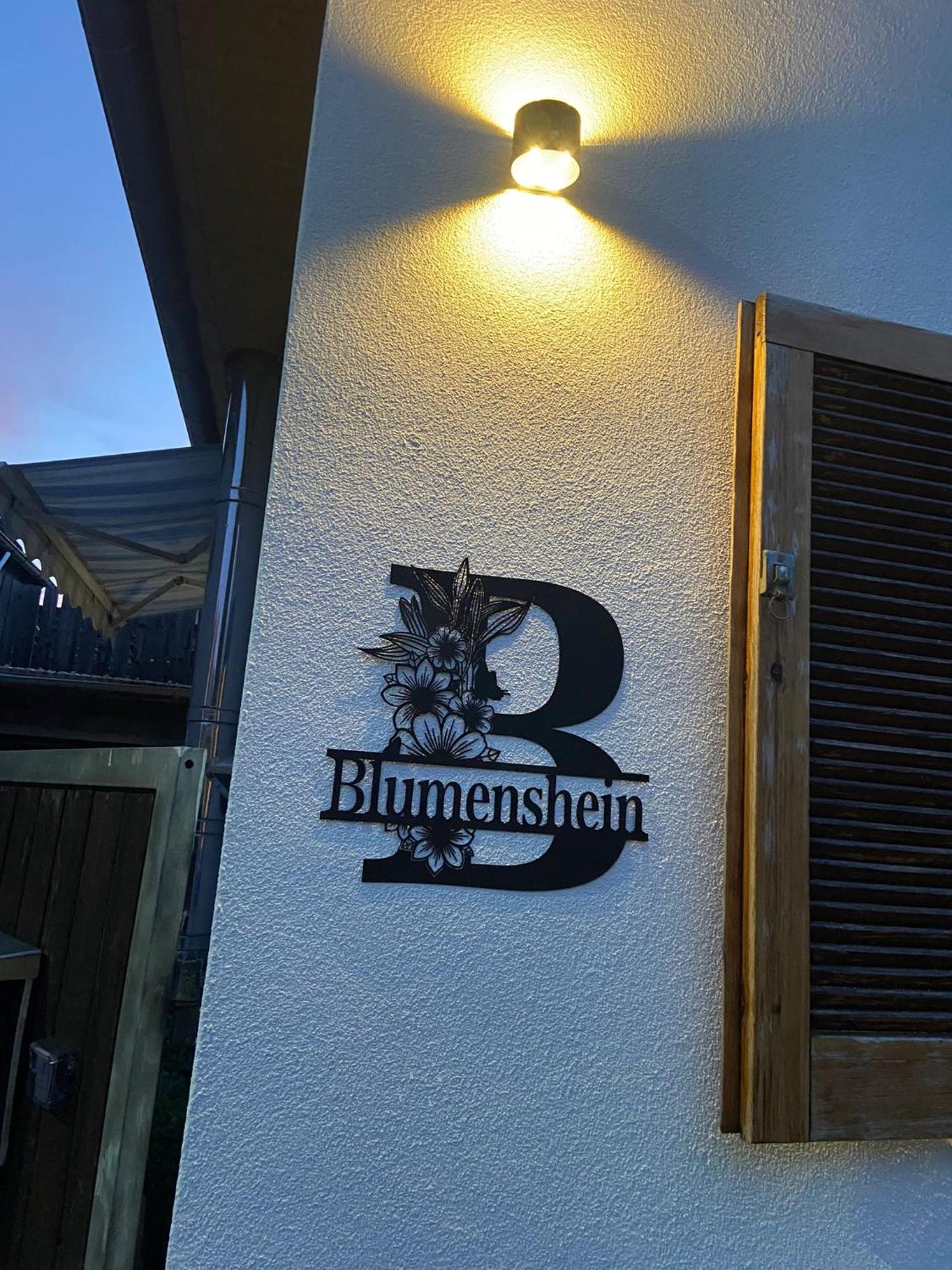 Ferienwohnung Blumenshein Bei Speyer Karlsruhe Familienfreundlich 5 Pers Zeiskam Екстериор снимка